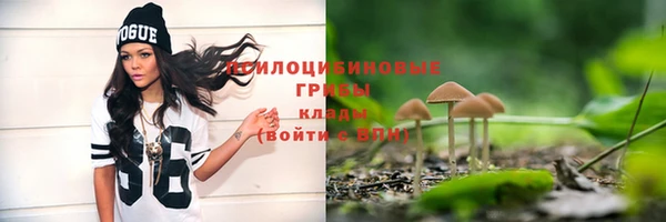 соль ск Балабаново